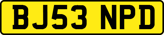 BJ53NPD