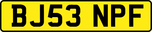 BJ53NPF