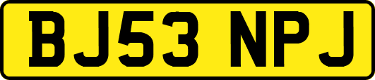 BJ53NPJ