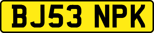 BJ53NPK