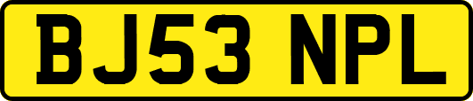 BJ53NPL