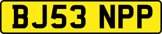 BJ53NPP