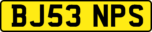 BJ53NPS