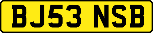 BJ53NSB