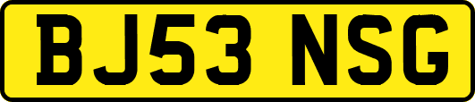 BJ53NSG