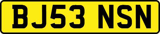 BJ53NSN