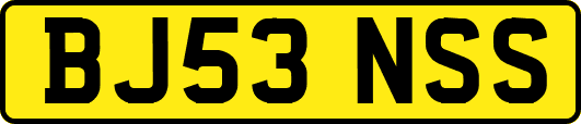 BJ53NSS