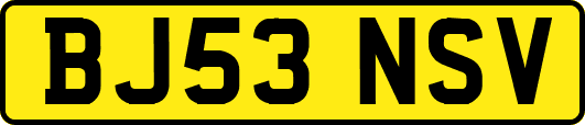 BJ53NSV