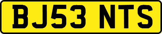 BJ53NTS