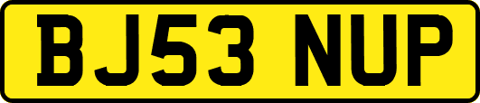 BJ53NUP