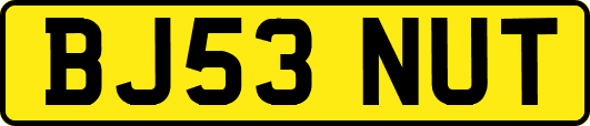 BJ53NUT