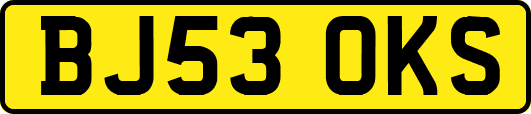 BJ53OKS