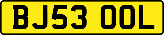 BJ53OOL