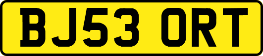 BJ53ORT