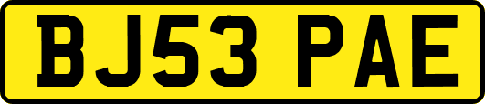 BJ53PAE