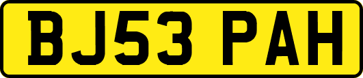 BJ53PAH