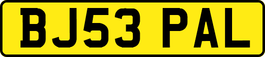 BJ53PAL