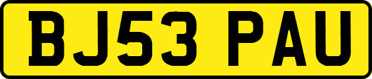 BJ53PAU