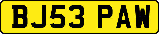 BJ53PAW