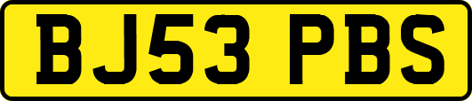 BJ53PBS