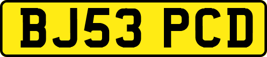 BJ53PCD
