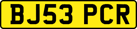 BJ53PCR