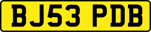 BJ53PDB