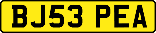 BJ53PEA