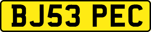 BJ53PEC