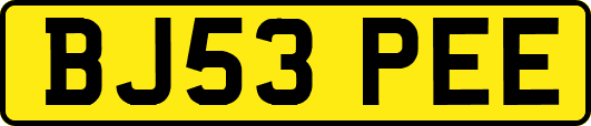 BJ53PEE