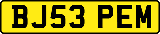 BJ53PEM