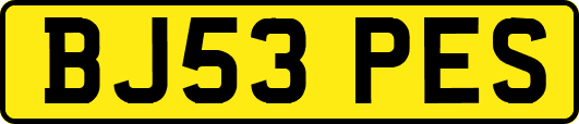 BJ53PES