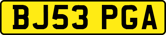 BJ53PGA