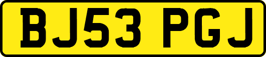 BJ53PGJ