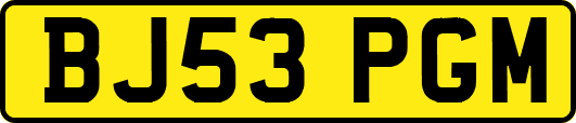 BJ53PGM