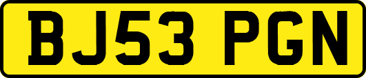 BJ53PGN