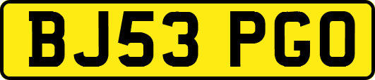 BJ53PGO