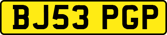 BJ53PGP