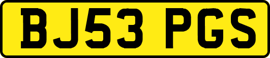 BJ53PGS