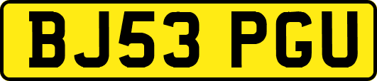 BJ53PGU