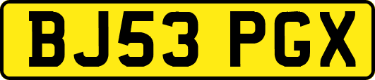 BJ53PGX