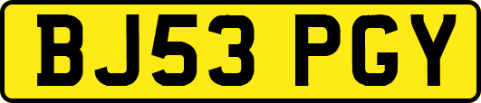 BJ53PGY