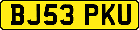 BJ53PKU