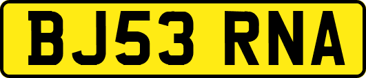 BJ53RNA