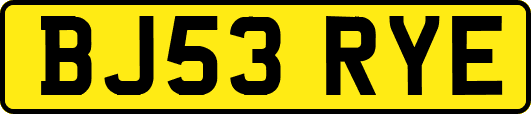 BJ53RYE