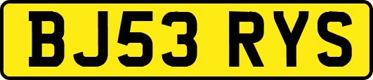 BJ53RYS