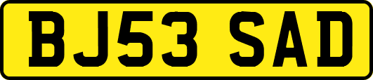 BJ53SAD