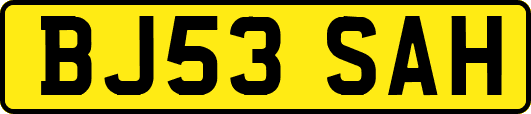 BJ53SAH