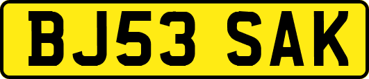 BJ53SAK
