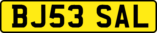 BJ53SAL
